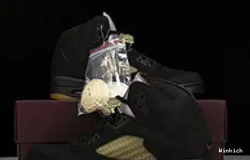 A Air 5 Jordan Ma Maniere FD1330-001 x 0602